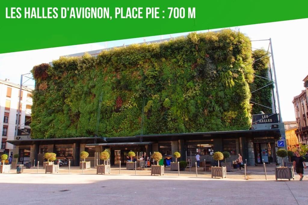 Aux Marches Du Palais - Ac Clim - Spacieux - Terrasse - Wifi أفينيون المظهر الخارجي الصورة